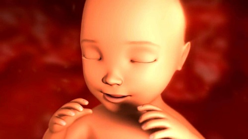 做美國第三代試管嬰兒，基因篩查會(huì)損害胚胎質(zhì)量嗎？