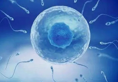 第三代的試管嬰兒的適宜人群有哪些呢