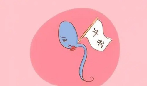 做俄羅斯試管嬰兒的夫妻如何去備孕