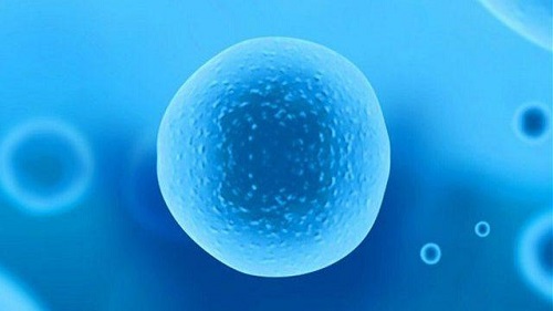 泰國(guó)試管嬰兒?jiǎn)翁ヒ浦驳幕ㄙM(fèi)是多少