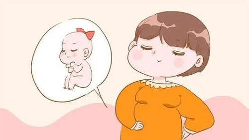 俄羅斯試管計劃受阻的主要的原因是什么
